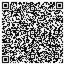 QR code with Cgt Window Tinting contacts