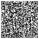 QR code with Publis Works contacts