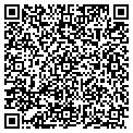 QR code with Picasso Motors contacts