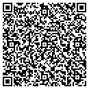 QR code with Bluestone Motors LLC contacts