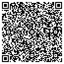 QR code with Professional Windows contacts