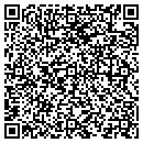QR code with Crsi Group Inc contacts