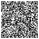 QR code with Process Corp contacts