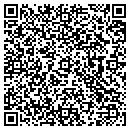 QR code with Bagdad Sahin contacts