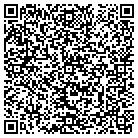 QR code with Professional Window Prg contacts