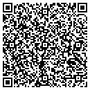 QR code with Chapin's Tax Service contacts