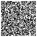 QR code with Prince Motors Inc contacts