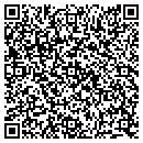 QR code with Public Storage contacts