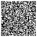 QR code with Profiles Inc contacts