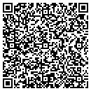QR code with Pro Window Tint contacts