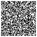 QR code with Pulse Instruments contacts