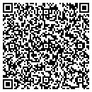 QR code with Pullmans Sales contacts