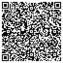 QR code with Punkin Patch Pottery contacts