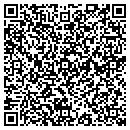 QR code with Professional Inspections contacts