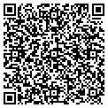 QR code with Dvlaptop Com Co Inc contacts