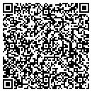 QR code with Premier Anesthesia contacts