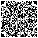 QR code with Precision Masonry LLC contacts