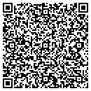 QR code with Pyramid Masonry contacts
