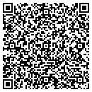 QR code with Pyramid Masonry contacts
