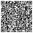 QR code with P V Nurses Touch LLC contacts