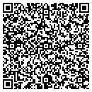 QR code with Cypher Group Inc contacts