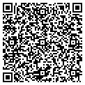 QR code with Midas contacts