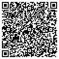 QR code with Budget contacts