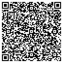 QR code with Carlson Testing Inc contacts