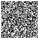 QR code with Carlson Testing Inc contacts