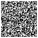 QR code with Brian J Raak contacts