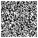 QR code with Precision Masonry Inc contacts