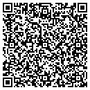 QR code with Prior Masonry Inc contacts