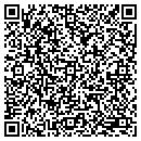 QR code with Pro Masonry Inc contacts