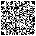 QR code with W Lay contacts