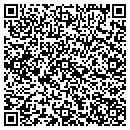 QR code with Promise Auto Glass contacts
