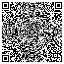 QR code with Pyke Masonry Inc contacts
