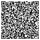 QR code with Pyramid Masonry contacts