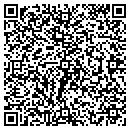 QR code with Carnesale Jr Peter L contacts