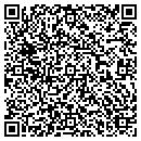 QR code with Practical Rent-A-Car contacts