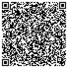 QR code with Professional Auto Glass contacts