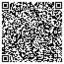 QR code with Premier Masonry Inc contacts