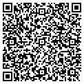 QR code with D G Video contacts