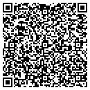 QR code with Cobra Security Systems contacts
