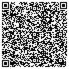 QR code with Public Image Landscape contacts