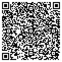 QR code with Dillu contacts