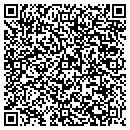 QR code with Cybermosi L L C contacts