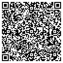 QR code with Carls Fence CO Inc contacts