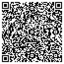 QR code with Protection 1 contacts