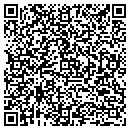 QR code with Carl W Johnson CPA contacts