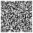 QR code with Proforce Inc contacts
